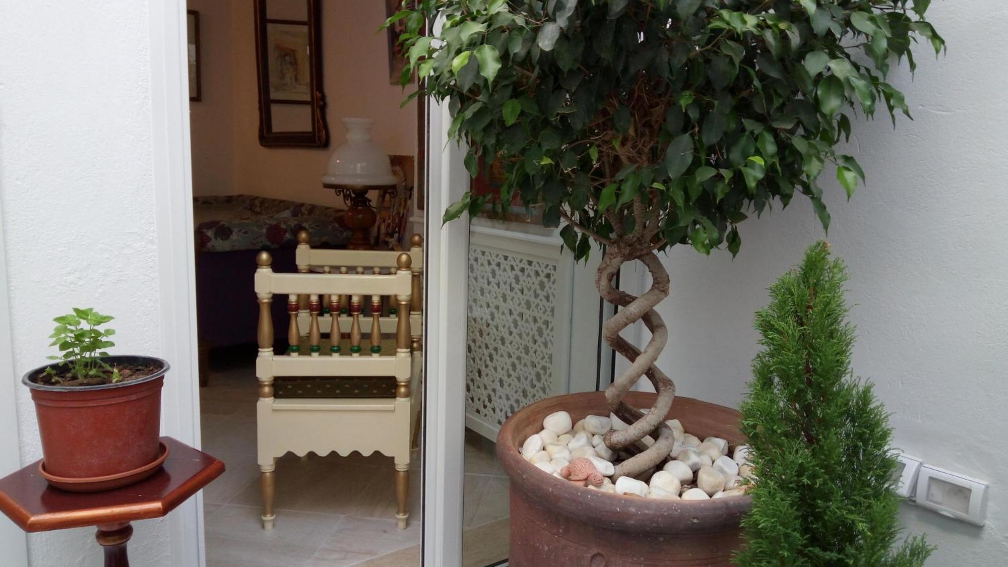 Hotel El Patio Courtyard House Tunis Exterior foto